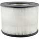 Purchase Top-Quality Air Filter by BALDWIN - PA2156 pa1