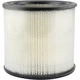 Purchase Top-Quality Air Filter by BALDWIN - PA2162 pa1