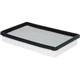 Purchase Top-Quality Air Filter by BALDWIN - PA2231 pa1