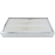 Purchase Top-Quality Air Filter by BALDWIN - PA3756 pa1
