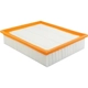 Purchase Top-Quality Air Filter by BALDWIN - PA4091 pa1