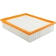 Purchase Top-Quality Air Filter by BALDWIN - PA4091 pa2