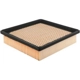 Purchase Top-Quality Air Filter by BALDWIN - PA4099 pa2