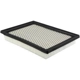 Purchase Top-Quality Air Filter by BALDWIN - PA4100 pa1