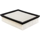 Purchase Top-Quality Air Filter by BALDWIN - PA4102 pa1