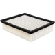 Purchase Top-Quality Air Filter by BALDWIN - PA4102 pa2