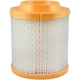 Purchase Top-Quality Air Filter by BALDWIN - PA4118 pa2