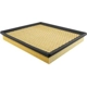 Purchase Top-Quality Air Filter by BALDWIN - PA4164 pa2