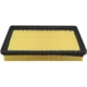 Purchase Top-Quality Air Filter by BALDWIN - PA4308 pa2