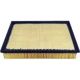 Purchase Top-Quality Air Filter by BALDWIN - PA4390 pa2