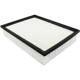 Purchase Top-Quality Air Filter by BALDWIN - PA4435 pa2