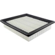 Purchase Top-Quality Air Filter by BALDWIN - PA4436 pa2