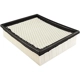 Purchase Top-Quality Air Filter by BALDWIN - PA4447 pa1
