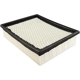 Purchase Top-Quality Air Filter by BALDWIN - PA4447 pa2