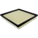 Purchase Top-Quality Air Filter by BALDWIN - PA4454 pa1