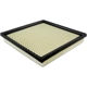 Purchase Top-Quality Air Filter by BALDWIN - PA4454 pa3