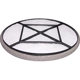 Purchase Top-Quality Air Filter by BALDWIN - PA4701 pa1