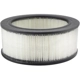 Purchase Top-Quality Air Filter by BALDWIN - PA602 pa1