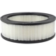 Purchase Top-Quality Air Filter by BALDWIN - PA607 pa1