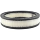 Purchase Top-Quality Air Filter by BALDWIN - PA642 pa2