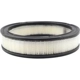 Purchase Top-Quality Air Filter by BALDWIN - PA642 pa3
