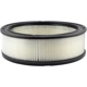 Purchase Top-Quality Air Filter by BALDWIN - PA648 pa1