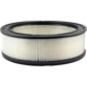 Purchase Top-Quality Air Filter by BALDWIN - PA648 pa2