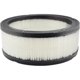 Purchase Top-Quality Air Filter by BALDWIN - PA650 pa1