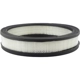 Purchase Top-Quality Air Filter by BALDWIN - PA658 pa1