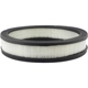 Purchase Top-Quality Air Filter by BALDWIN - PA658 pa2