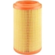 Purchase Top-Quality Air Filter by BALDWIN - RS10021 pa2