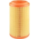 Purchase Top-Quality Air Filter by BALDWIN - RS10021 pa3