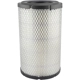 Purchase Top-Quality Air Filter by BALDWIN - RS3707 pa1