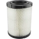 Purchase Top-Quality Air Filter by BALDWIN - RS4161 pa1
