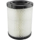 Purchase Top-Quality Air Filter by BALDWIN - RS4161 pa2