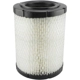 Purchase Top-Quality Air Filter by BALDWIN - RS4161 pa3
