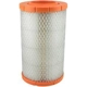 Purchase Top-Quality Air Filter by BALDWIN - RS4445 pa1