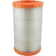 Purchase Top-Quality Air Filter by BALDWIN - RS4445 pa2