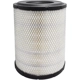 Purchase Top-Quality Air Filter by BALDWIN - RS4806 pa1