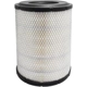 Purchase Top-Quality Air Filter by BALDWIN - RS4806 pa2