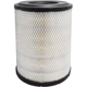 Purchase Top-Quality Air Filter by BALDWIN - RS4806 pa3