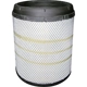 Purchase Top-Quality Air Filter by BALDWIN - RS4862 pa1