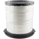 Purchase Top-Quality Air Filter by BALDWIN - RS5458 pa1