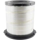 Purchase Top-Quality Air Filter by BALDWIN - RS5458 pa2
