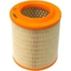 Purchase Top-Quality Air Filter by BTK - CA49241 pa1