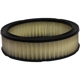 Purchase Top-Quality DEFENSE - DA3647 - Air Filter pa1