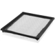 Purchase Top-Quality DEFENSE - DA7440 - Air Filter pa2