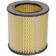 Purchase Top-Quality Air Filter by DEFENSE - DA3902 pa1