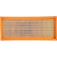 Purchase Top-Quality DENSO - 143-3053 - Air Filter pa3