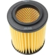 Purchase Top-Quality DENSO - 143-3175 - Air Filter pa3